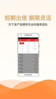 金融中介服務(wù)的合法性與風(fēng)險(xiǎn)邊界——以線上信貸平臺為例
